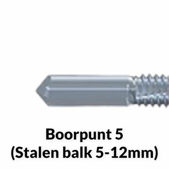 Paneelschroeven BP5 Verzinkt 5,5/6.3x180mm 16mm ring - 100 stuks